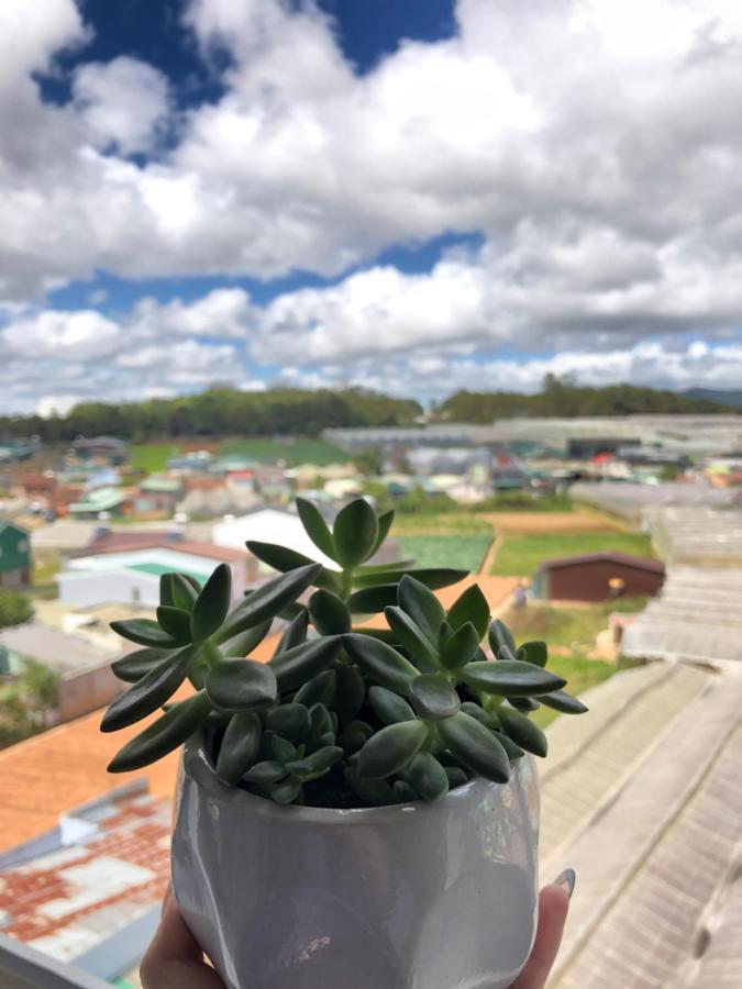 I'M Home In Dalat Khu Chi Lang Ngoại thất bức ảnh